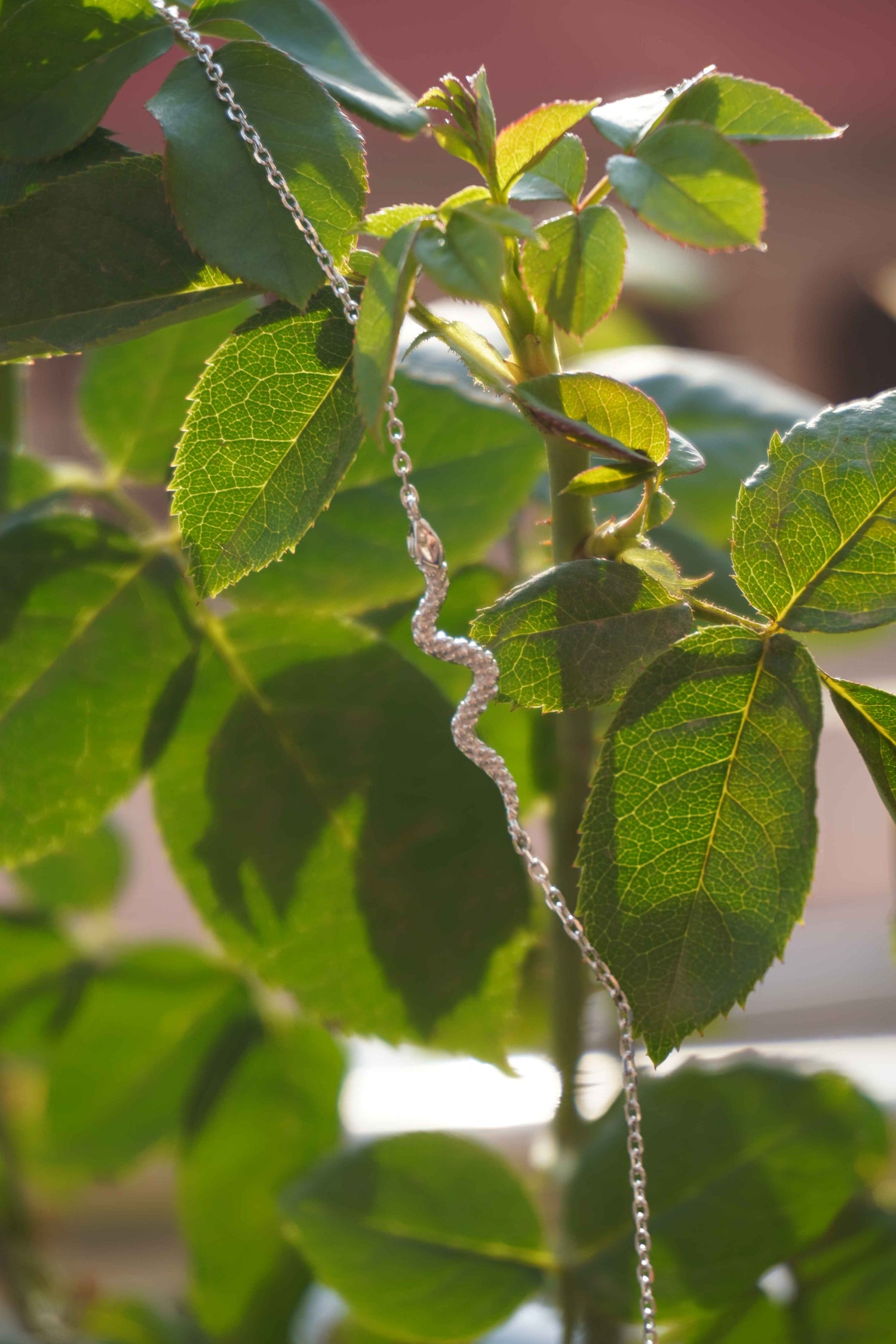 Why Ariva 925 Silver jewelry sustainability 